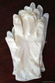 Dental latex gloves  1