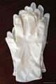 Dental latex gloves 