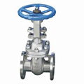 Flange API Wedge Gate Valve  1