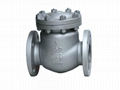 API6D Cast Steel Check Valve