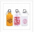 stainlee steel sport bottle