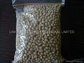 soya seeds