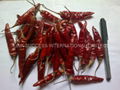 dry red chilli 1