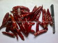 dry red chilli 2