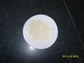 soy protein isolate 1