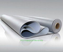 TPO waterproof membrane