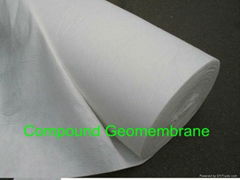 Compound Geomembrane