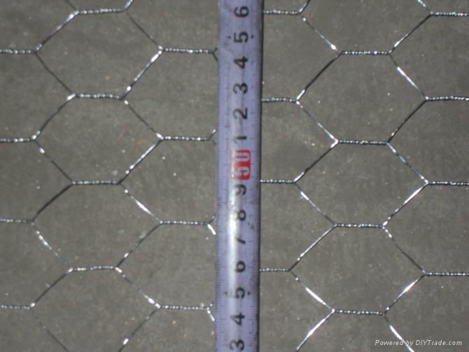 galvanzied hexagonal wire mesh 2