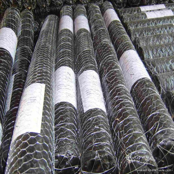 galvanzied hexagonal wire mesh 3