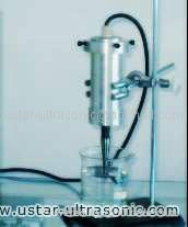 Ultrasonically assisted Chinese traditional medicines extraction device