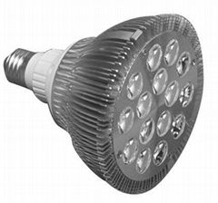 15W PAR38 LED Spot Light