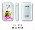 2012 Newest 5600mAh Power Bank Mobile Phone Charger for iphone/ipad