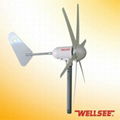 WELLSEE wind turbine WS-WT300W 