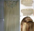 clips in hair extensions 2