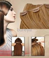 clips on hair extensions 3