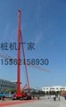 JZB AND JZL SERIES OF DYNAMOELECTRICPEDRAIL PILING MACHINE