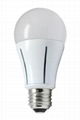 LED Bulbs A60 810 lm    