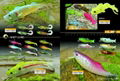 soft lures 5