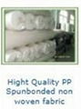 PP spunbonded nonwoven 1