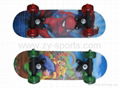 ZY children skateboard completes