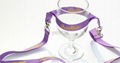 lanyard with glass holder