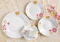 porcelain dinner set