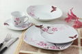 20pcs sqaure dinner set 2