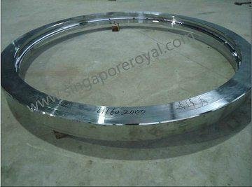 slewing ring  SKF