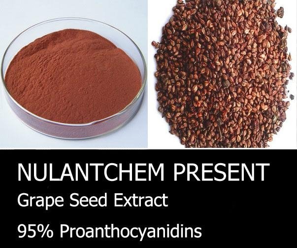 Grape Seed Extract 95% Proanthocyanidins 1