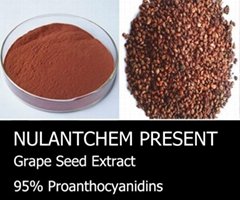 Grape Seed Extract 95% Proanthocyanidins