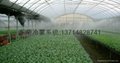 Shenzhen spray cooling landscaping dedusting system 2