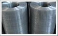 galvanized welded wire mesh 4