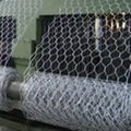 pvc hexagonal wire mesh 3