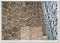 pvc hexagonal wire mesh 4