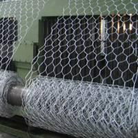 gabion wire mesh