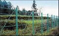 galvanized fence wire mesh