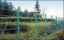 galvanized fence wire mesh