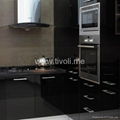 kitchen cabinet- modern and elaborately designed 3