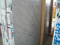 Carrara White Marble 1