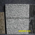 G603 Cheap Grey Granite 1