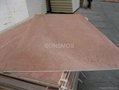 Commercial plywood  1