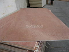 Commercial plywood 