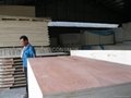 Commercial plywood  2