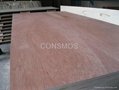 Commercial plywood  3