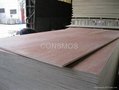 Commercial plywood  4