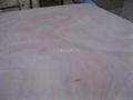 okoume face plywood for furniture