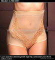 body shaper ( panty ) 1