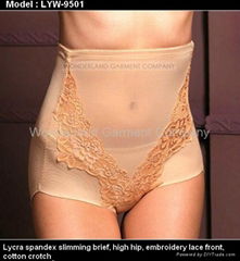 body shaper ( panty )