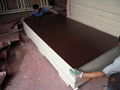 High Quality Film Faced Plywood with Cheap Price 4