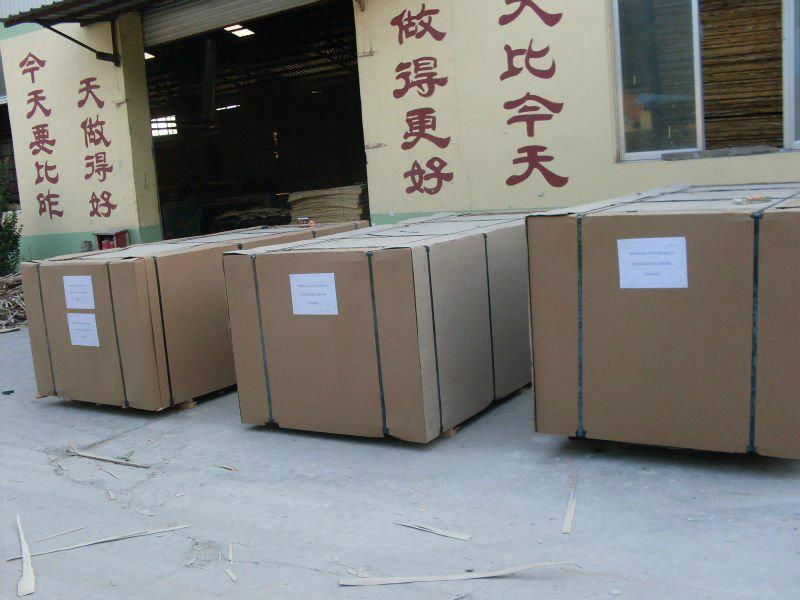 High Quality Film Faced Plywood with Cheap Price 5